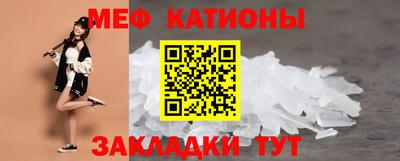 шишки Новодвинск