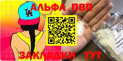 шишки Новодвинск