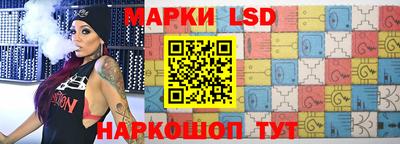 шишки Новодвинск
