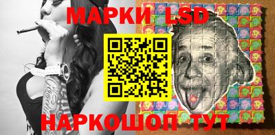 шишки Новодвинск
