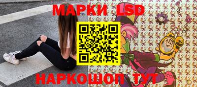 шишки Новодвинск