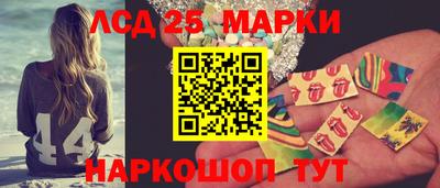 шишки Новодвинск