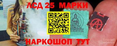 шишки Новодвинск