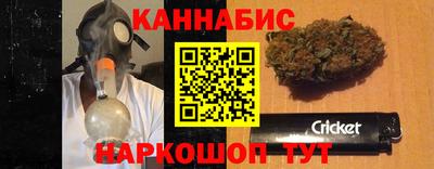 шишки Новодвинск