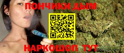 шишки Новодвинск