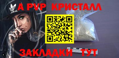 шишки Новодвинск