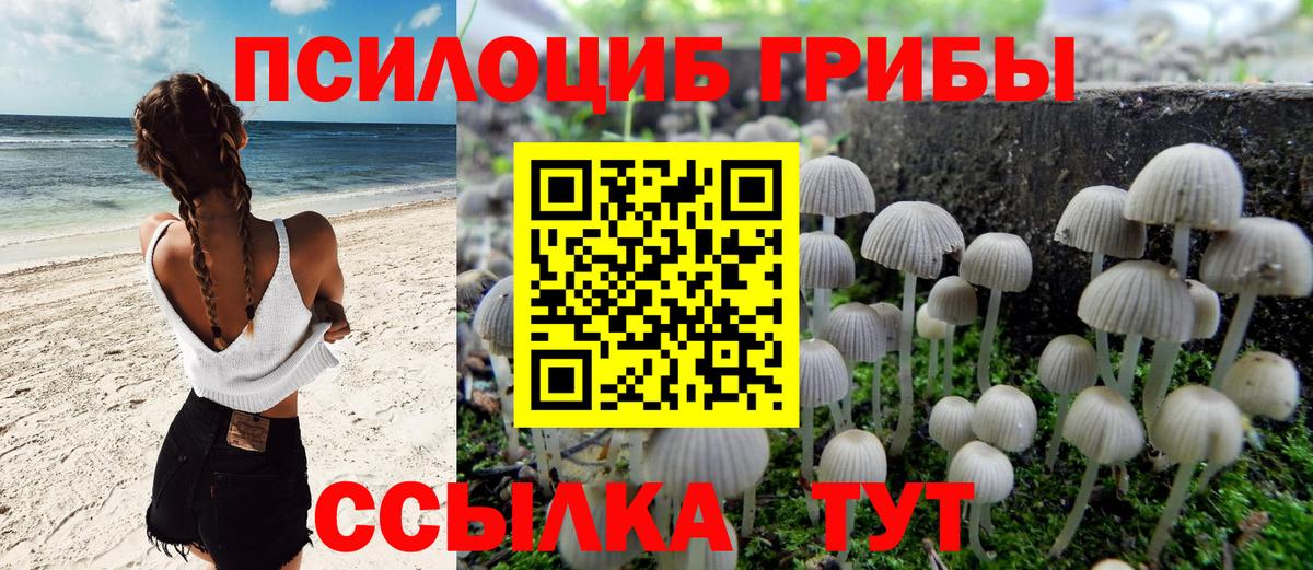 купить наркотики цена  Вход с VPN  Сыктывкар  Псилоцибиновые грибы MAGIC MUSHROOMS 